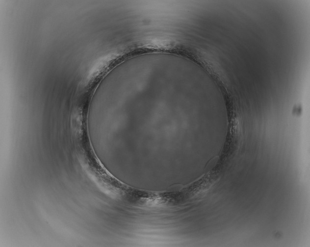 X0000111800688200907301210