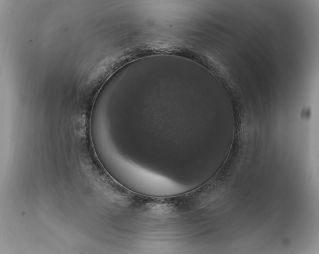 X0000111800689200907301210