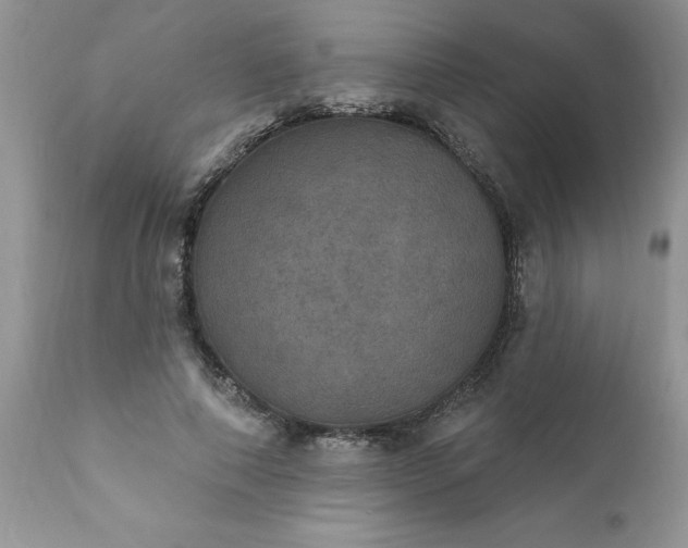 X0000111800690200907301210