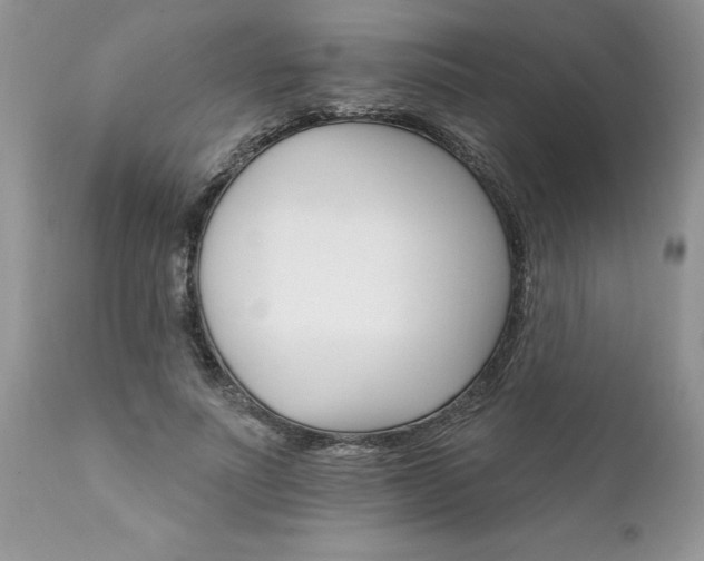 X0000111800691200907301210