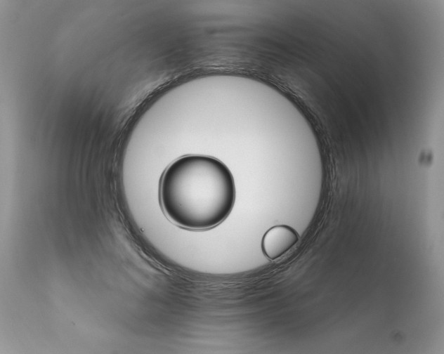 X0000111800692200907301210