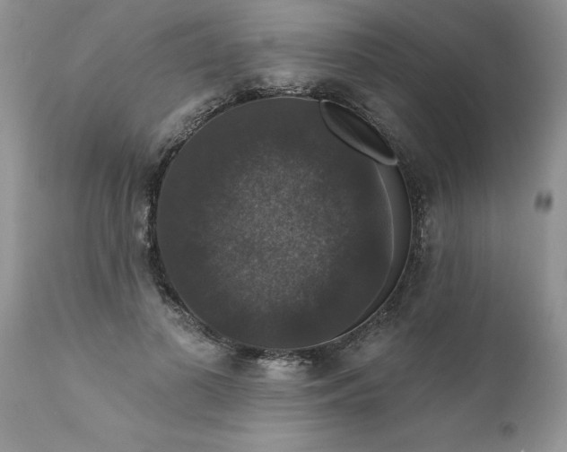X0000111800693200907301210