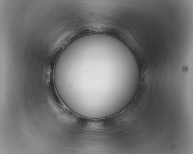 X0000111800694200907301210