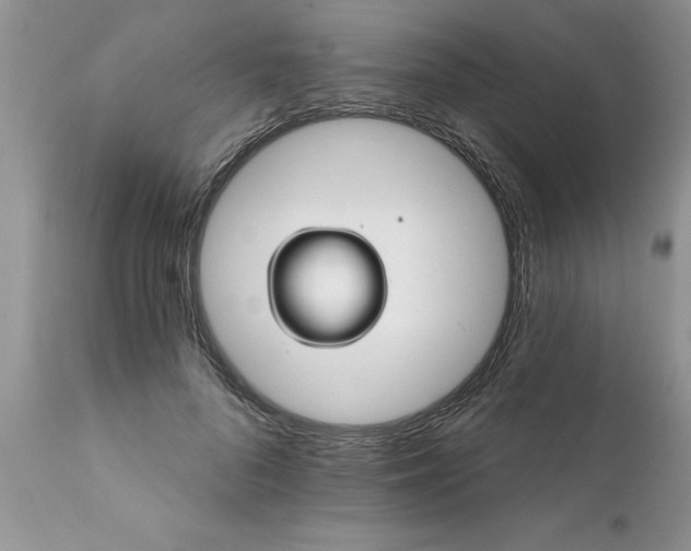 X0000111800696200907301210