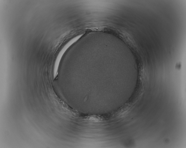 X0000111800697200907301210