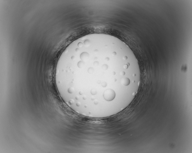 X0000111800698200907301210