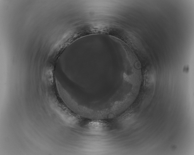 X0000111800699200907301210