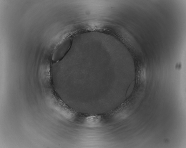 X0000111800700200907301210