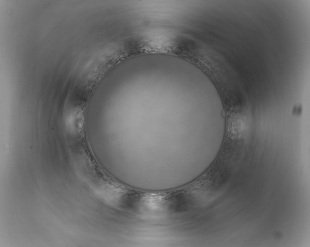 X0000111800701200907301210