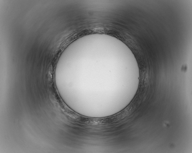 X0000111800702200907301210