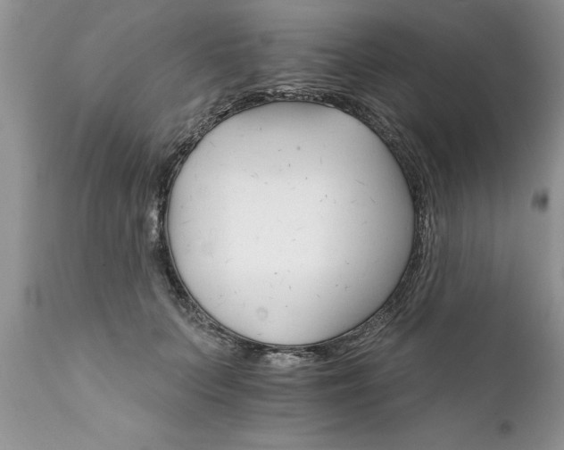 X0000111800703200907301210