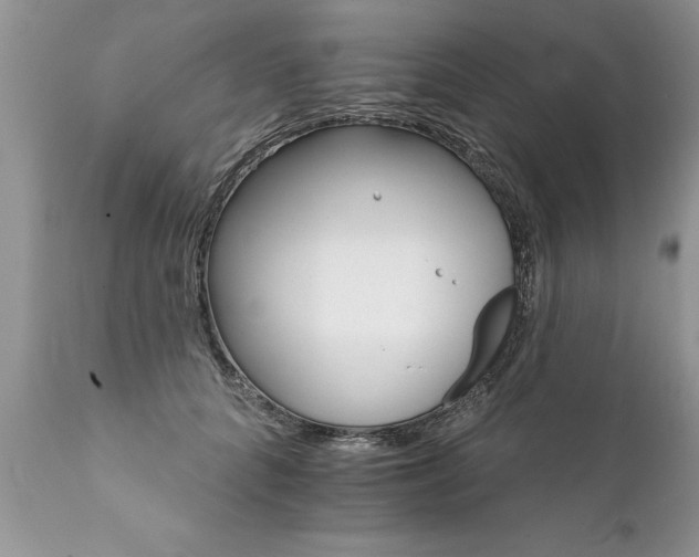 X0000111800704200907301210
