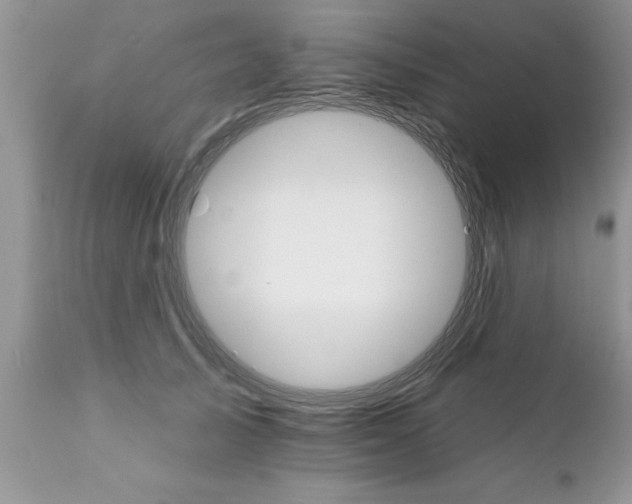 X0000111800705200907301209