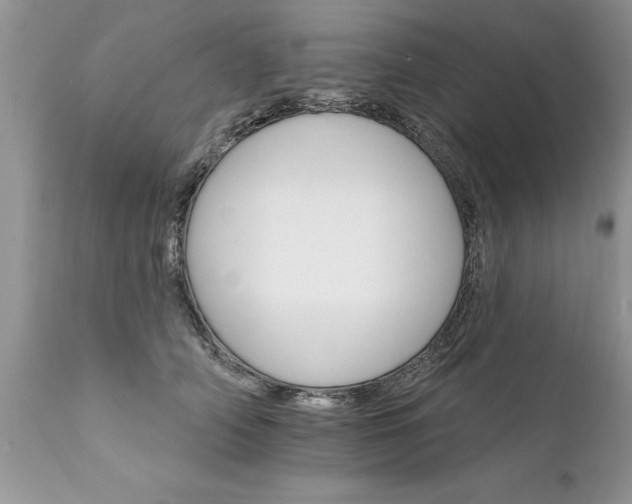 X0000111800706200907301209