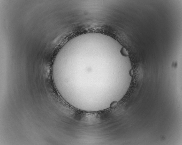 X0000111800709200907301209