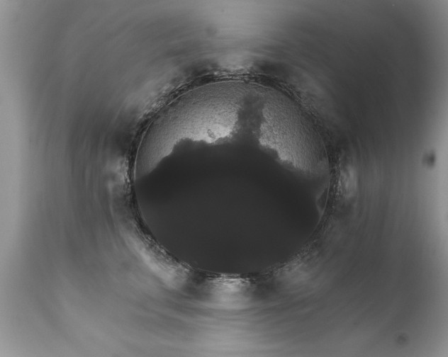 X0000111800711200907301209