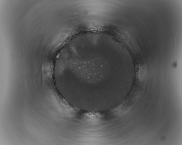 X0000111800712200907301209