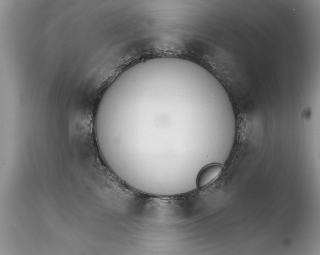 X0000111800713200907301209