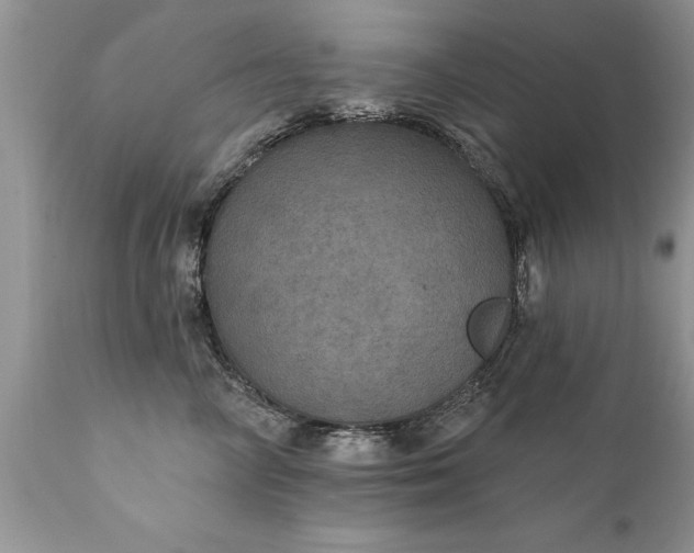 X0000111800714200907301209