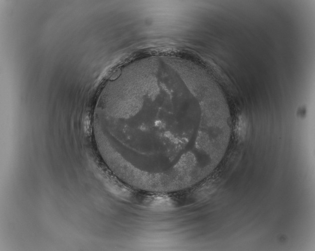 X0000111800715200907301209