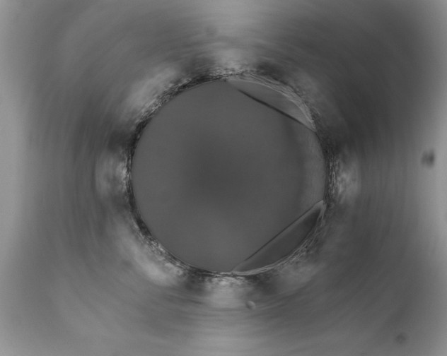 X0000111800716200907301209