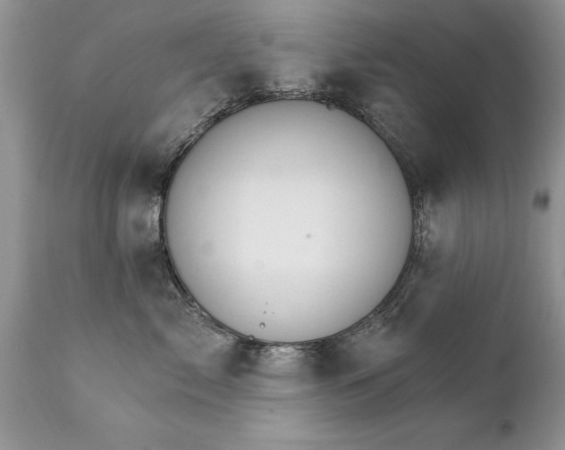 X0000111800717200907301209
