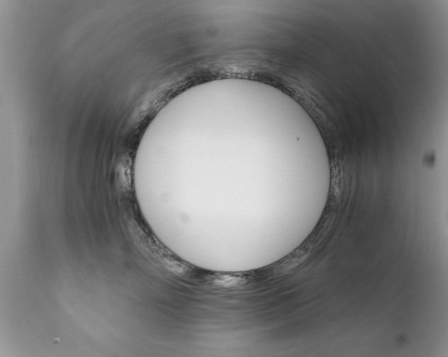 X0000111800718200907301209