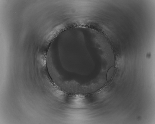 X0000111800719200907301209