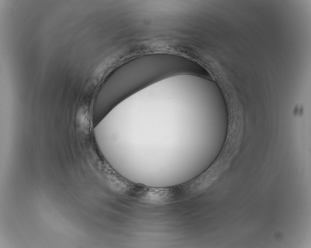 X0000111800720200907301209