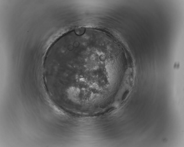 X0000111800721200907301209