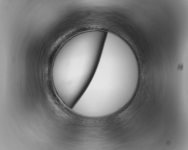 X0000111800722200907301209