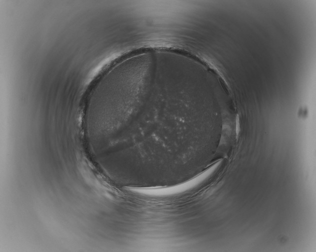X0000111800723200907301209