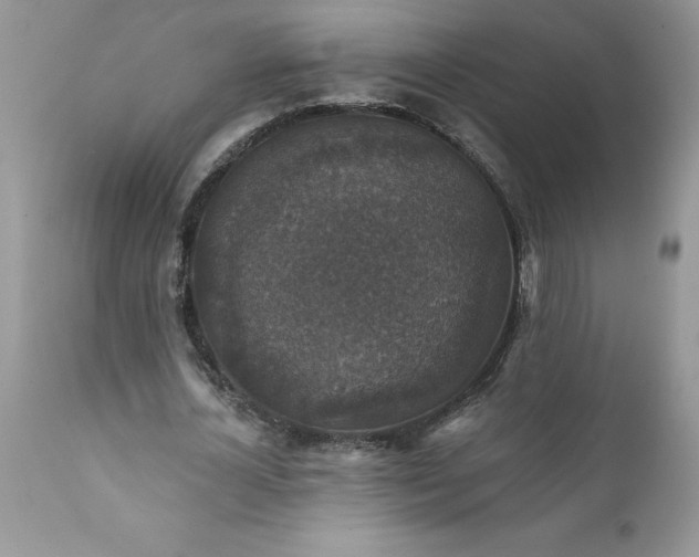 X0000111800724200907301209