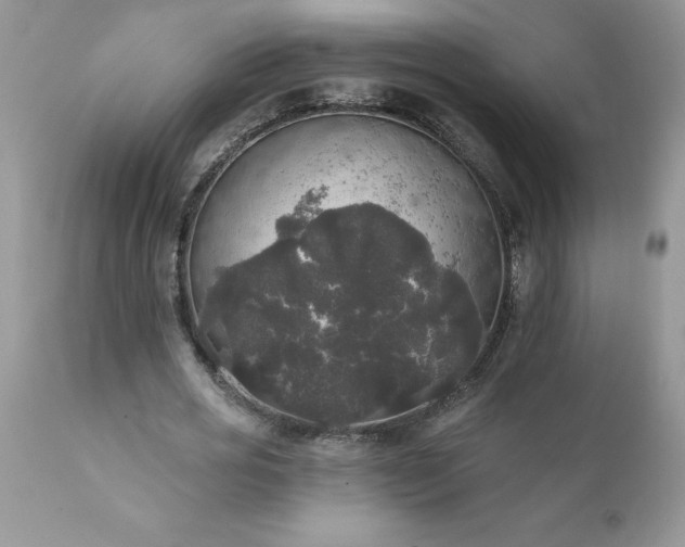 X0000111800725200907301209