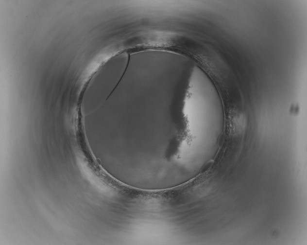 X0000111800726200907301209