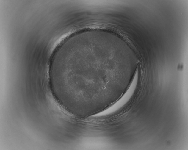 X0000111800727200907301209