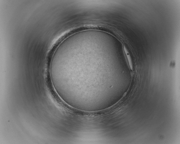 X0000111800728200907301209