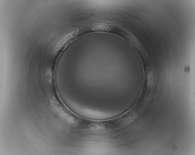 X0000111800729200907301209