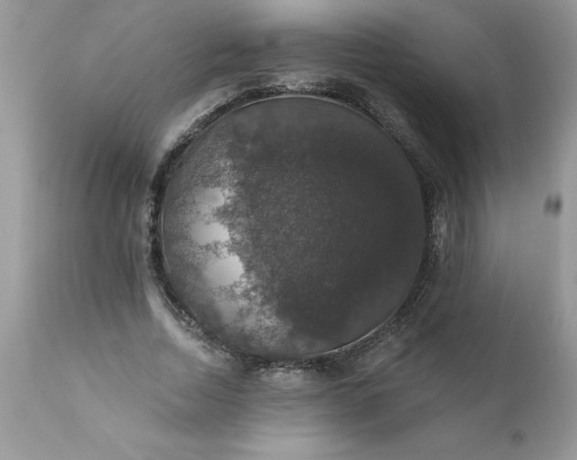 X0000111800730200907301209