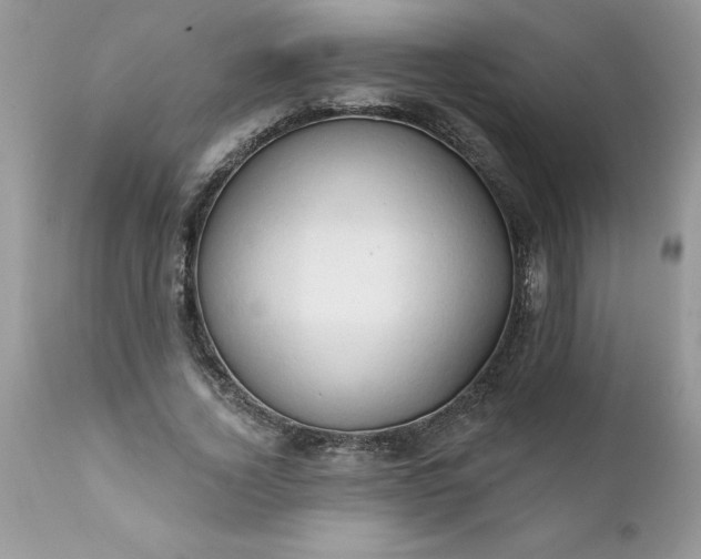 X0000111800732200907301209
