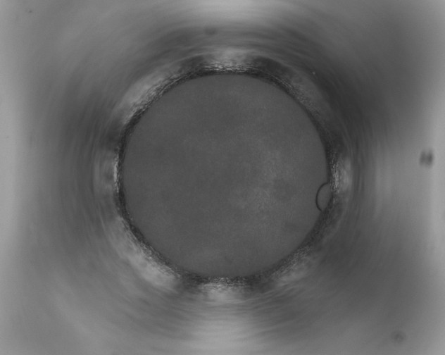 X0000111800733200907301209