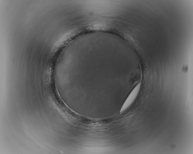X0000111800735200907301209