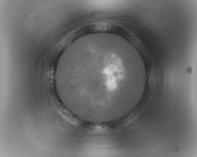 X0000111800737200907301209