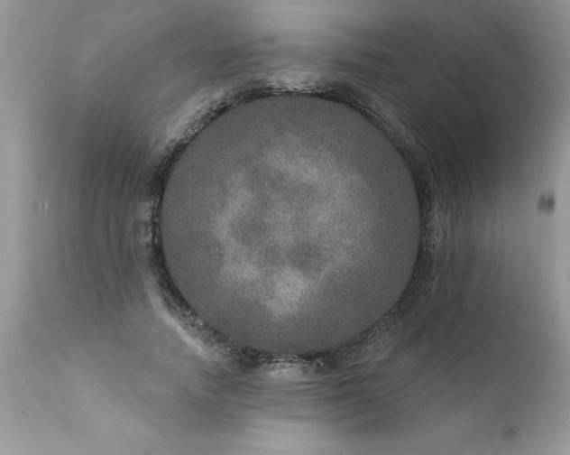 X0000111800738200907301209