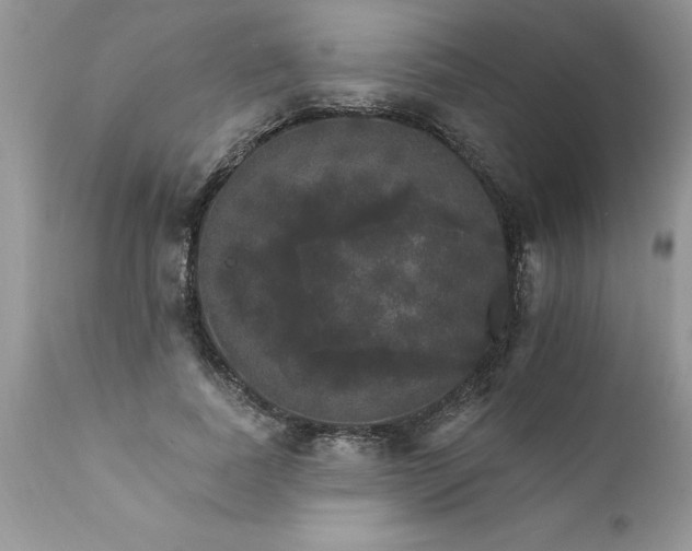 X0000111800739200907301209