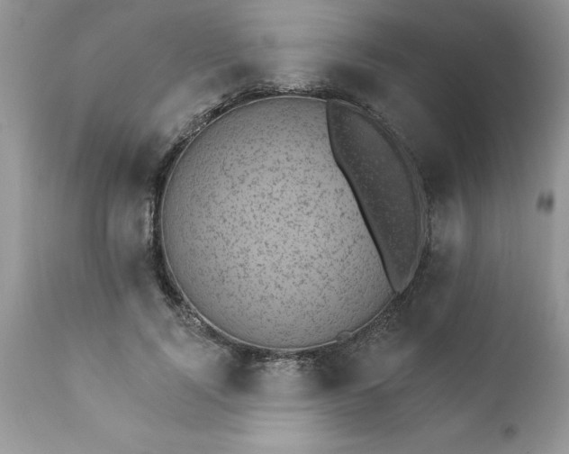 X0000111800740200907301209