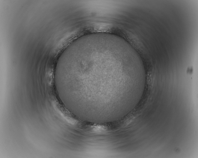 X0000111800741200907301209