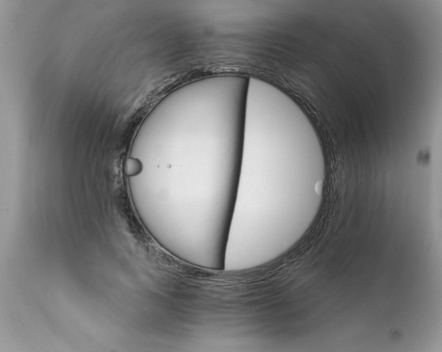 X0000111800743200907301209