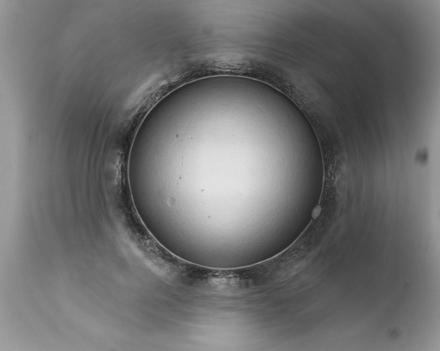 X0000111800744200907301209