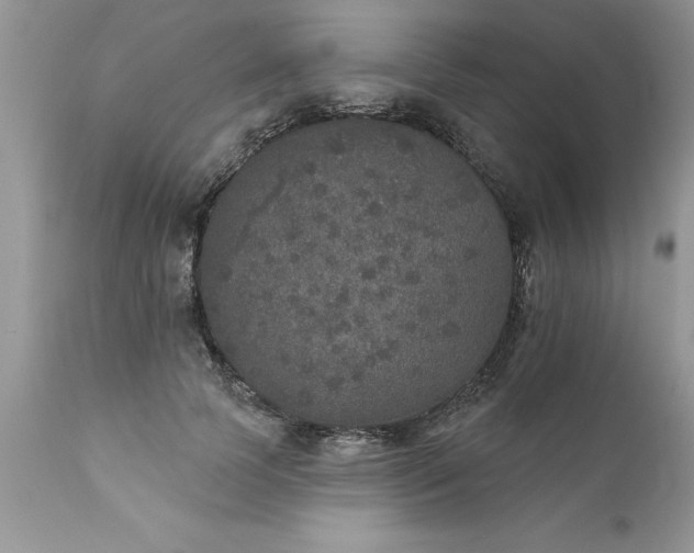 X0000111800745200907301209